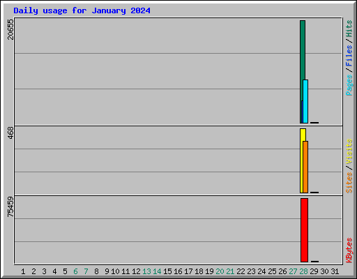 Daily usage for January 2024