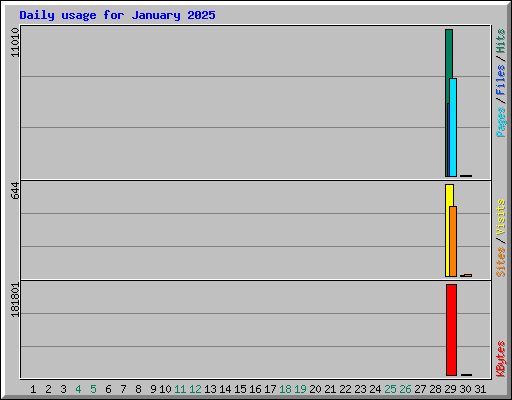 Daily usage for January 2025