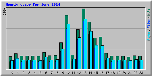 Hourly usage for June 2024