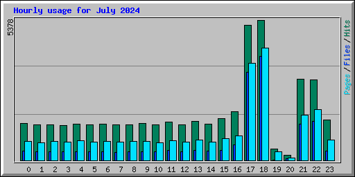 Hourly usage for July 2024