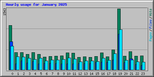 Hourly usage for January 2025