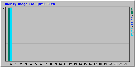Hourly usage for April 2025