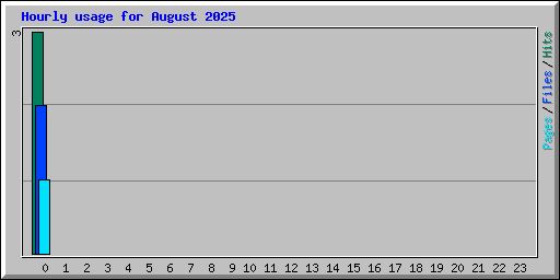 Hourly usage for August 2025