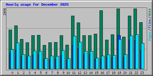 Hourly usage for December 2025