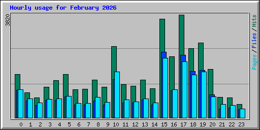 Hourly usage for February 2026