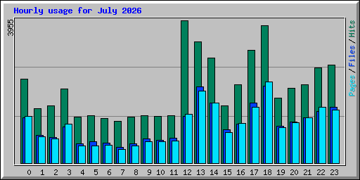Hourly usage for July 2026